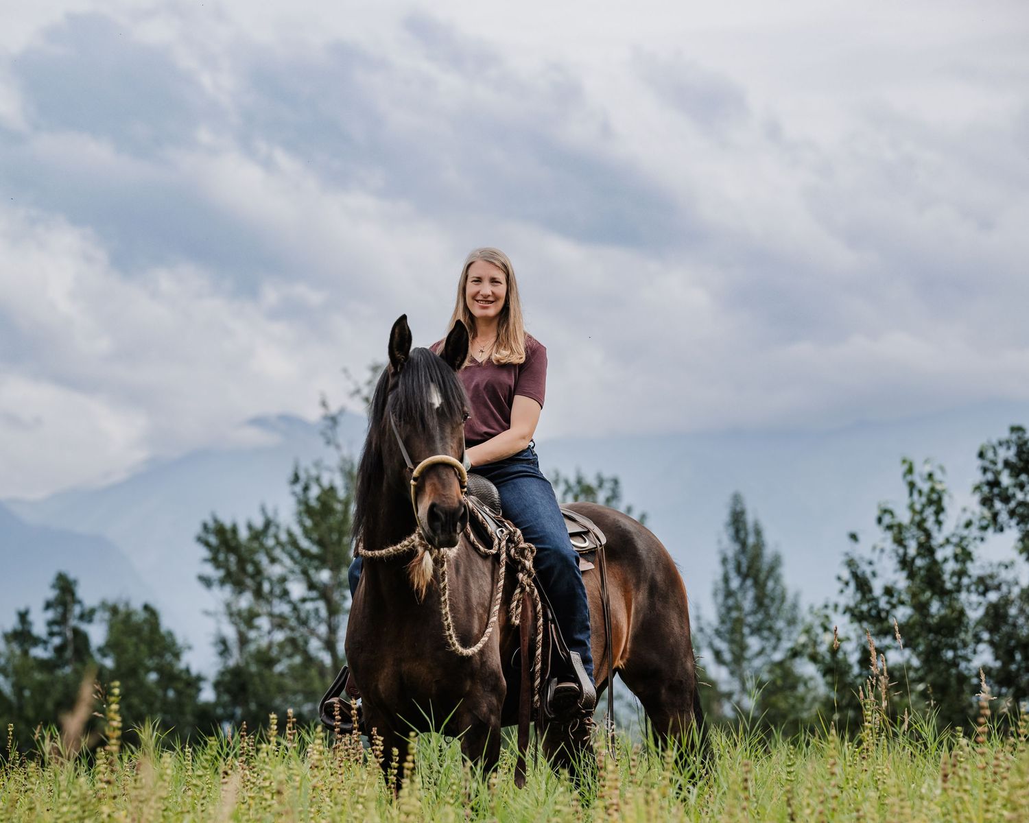 A dark brown horse stands in a summer meadow filled with tall grass and wildflowers beneath a cloudy sky.