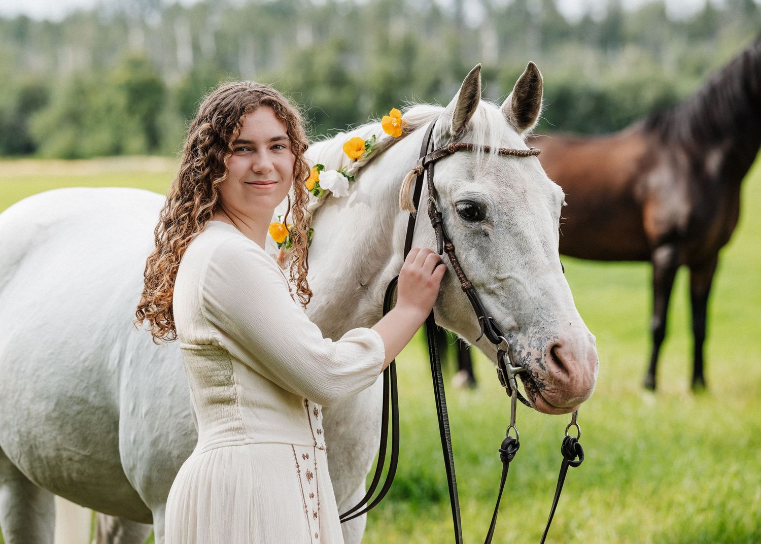 Beautiful white horse grazing in a sunny green pasture with sunflowers and yellow flowers in the background.