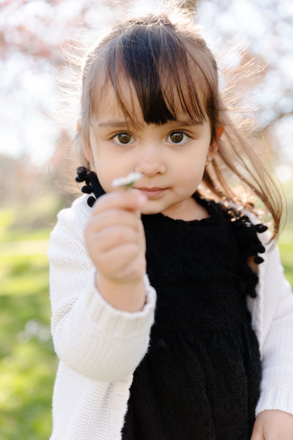 A little girl holding a dandelion in her hand.
