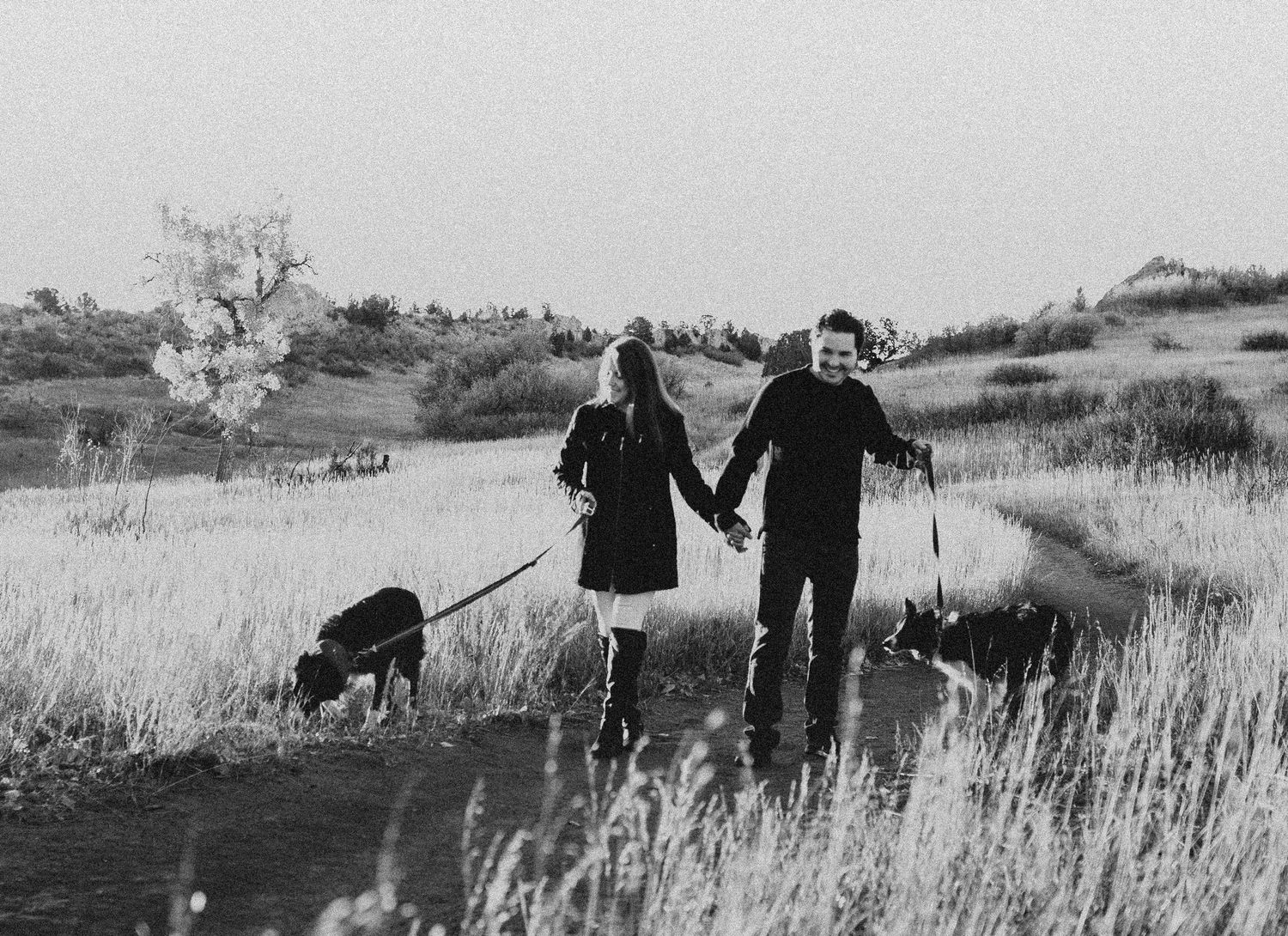 black and white photo of couple walking at sunrise with dogs at Garden of the Gods