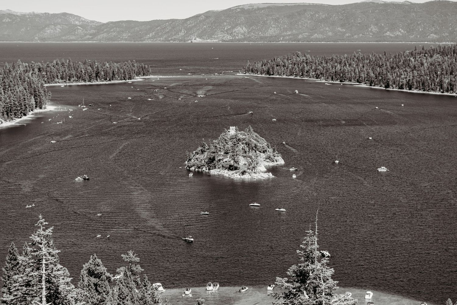 Black and white panoramic landscape of mountainous coastline with forests.