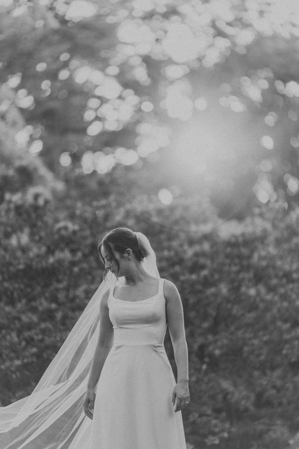 Ethereal black and white bridal portrait with flowing veil and dreamy bokeh background.
