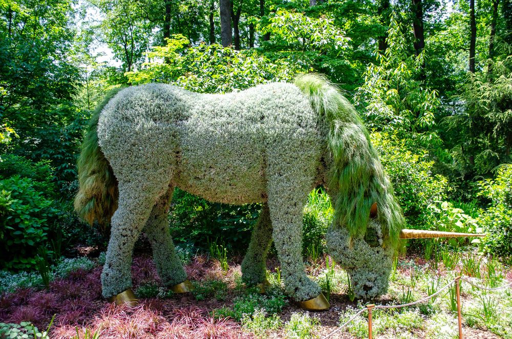 A horse-shaped topiary sculpture made of plants and moss in a garden setting.