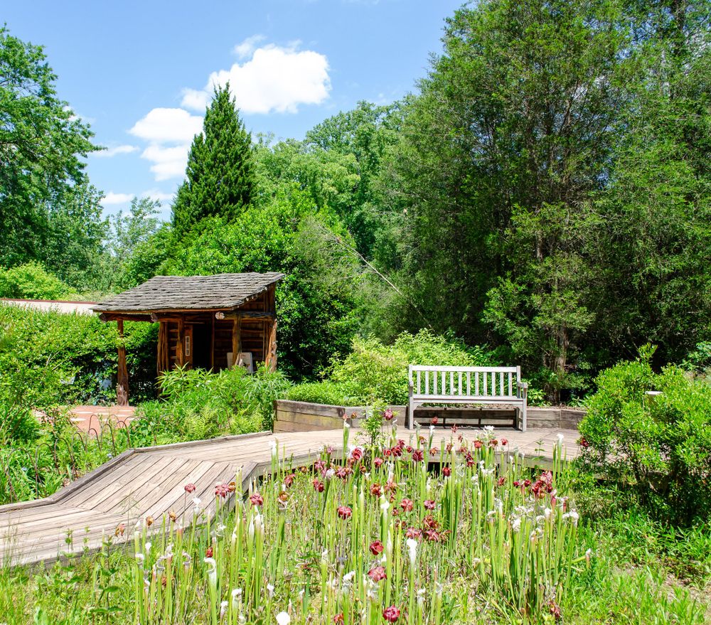 A peaceful garden setting with a wooden bench, rustic shed, and blooming wildflowers.