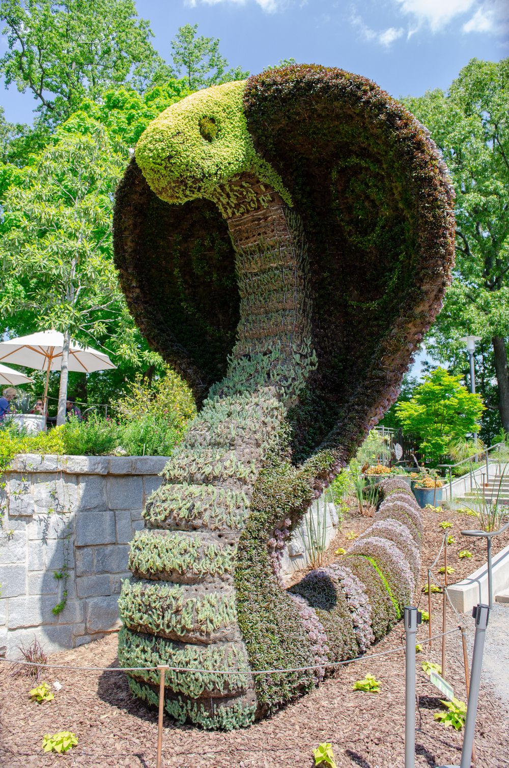 A large cobra-shaped topiary sculpture made of plants and moss in a garden setting.