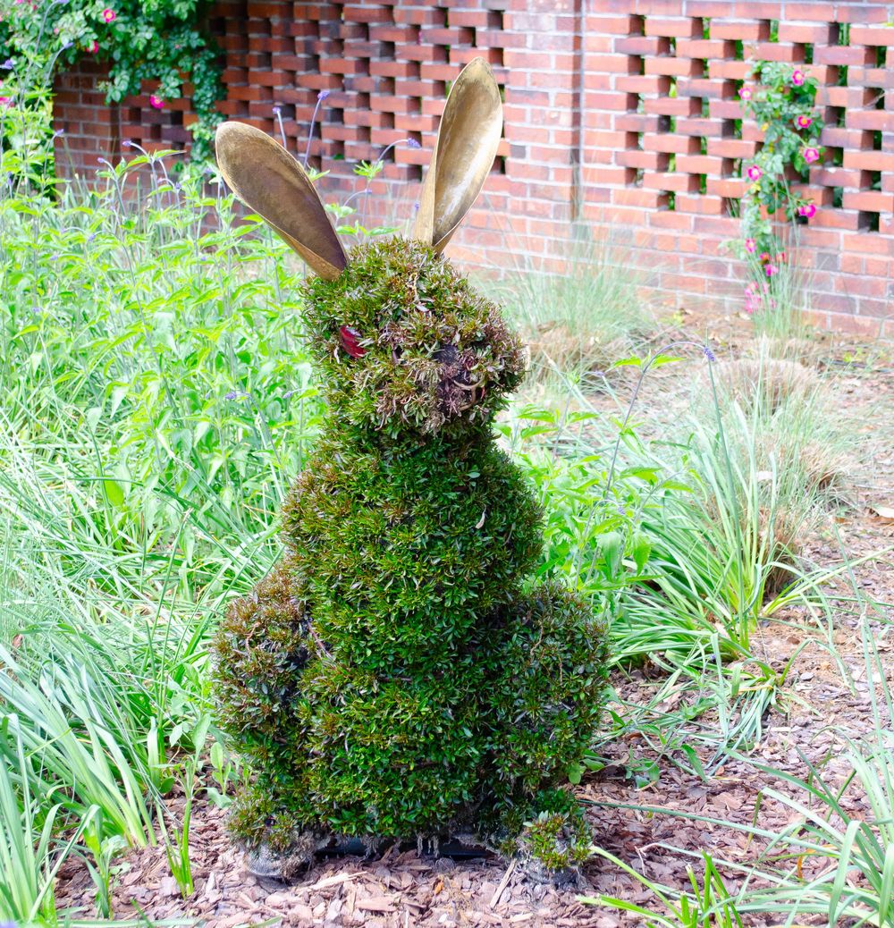 A charming moss and plant bunny sculpture with tall ears in a garden border.