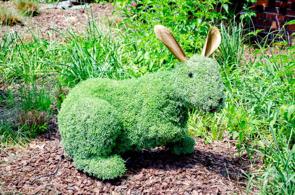 A green moss-covered rabbit topiary sculpture sitting in a garden bed.