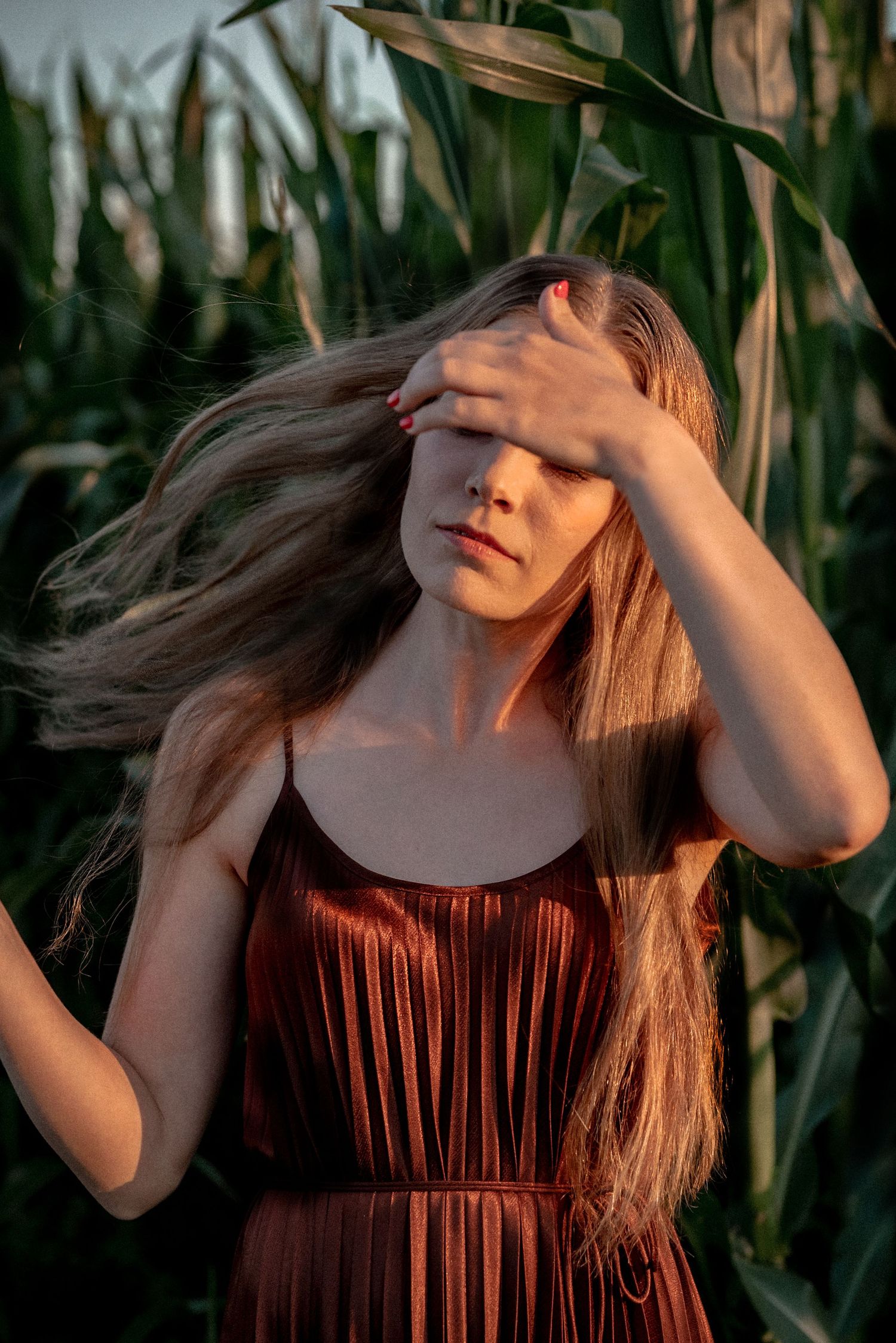 Dramatic sunset portrait in rust-colored dress among cornfield stalks.