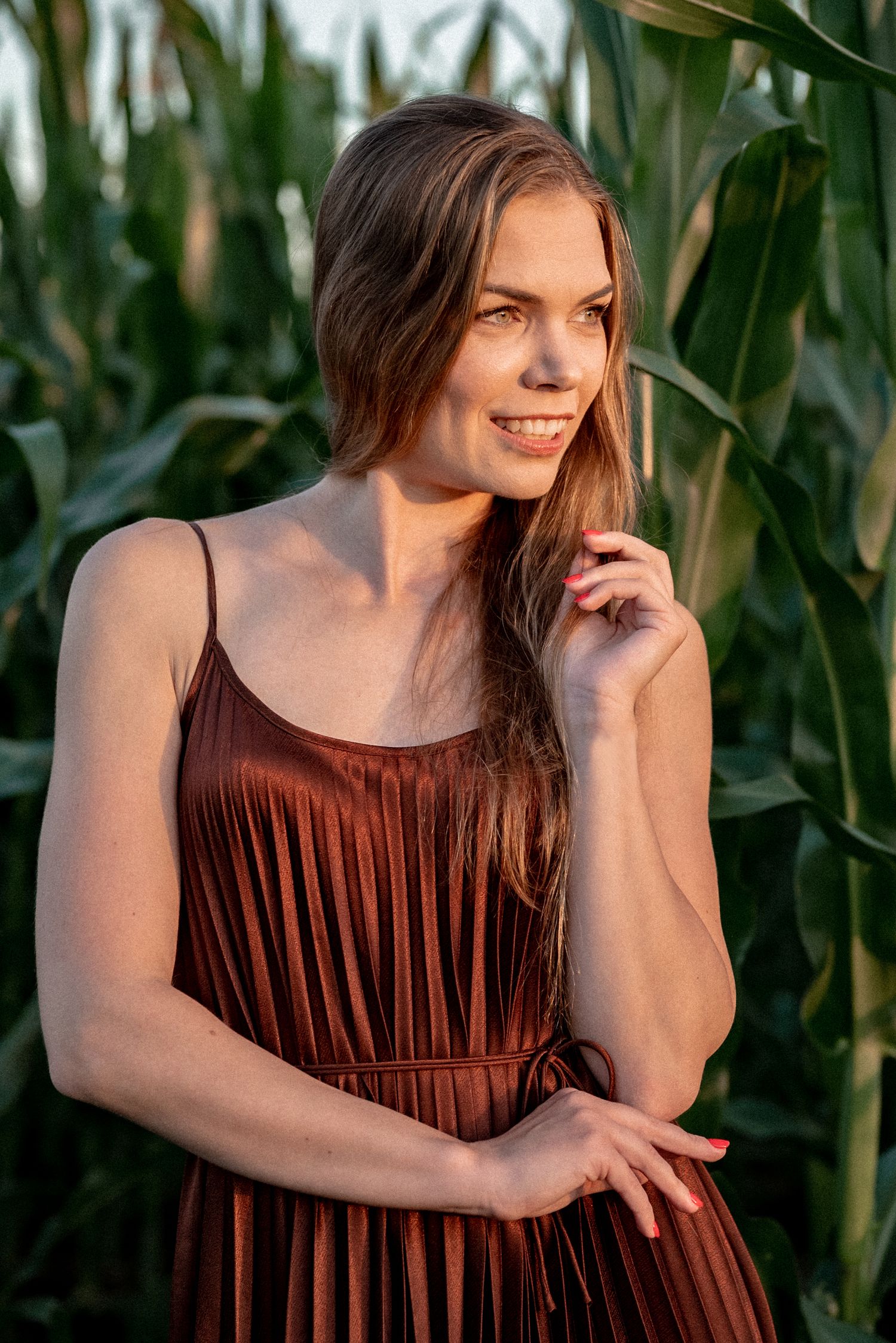 Warm evening portrait in burgundy pleated dress standing among corn stalks.