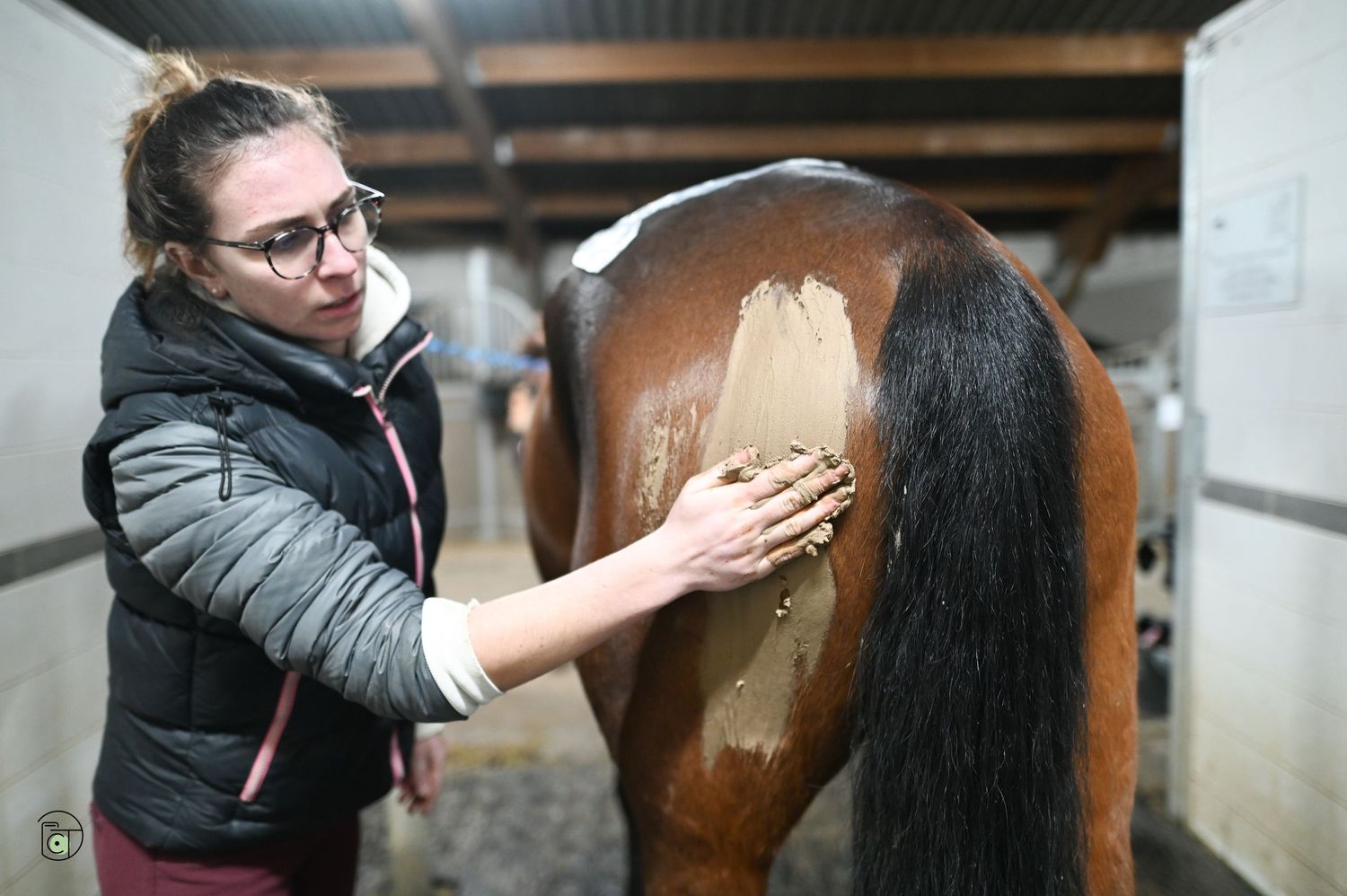 Eva W. Masseuse Equin