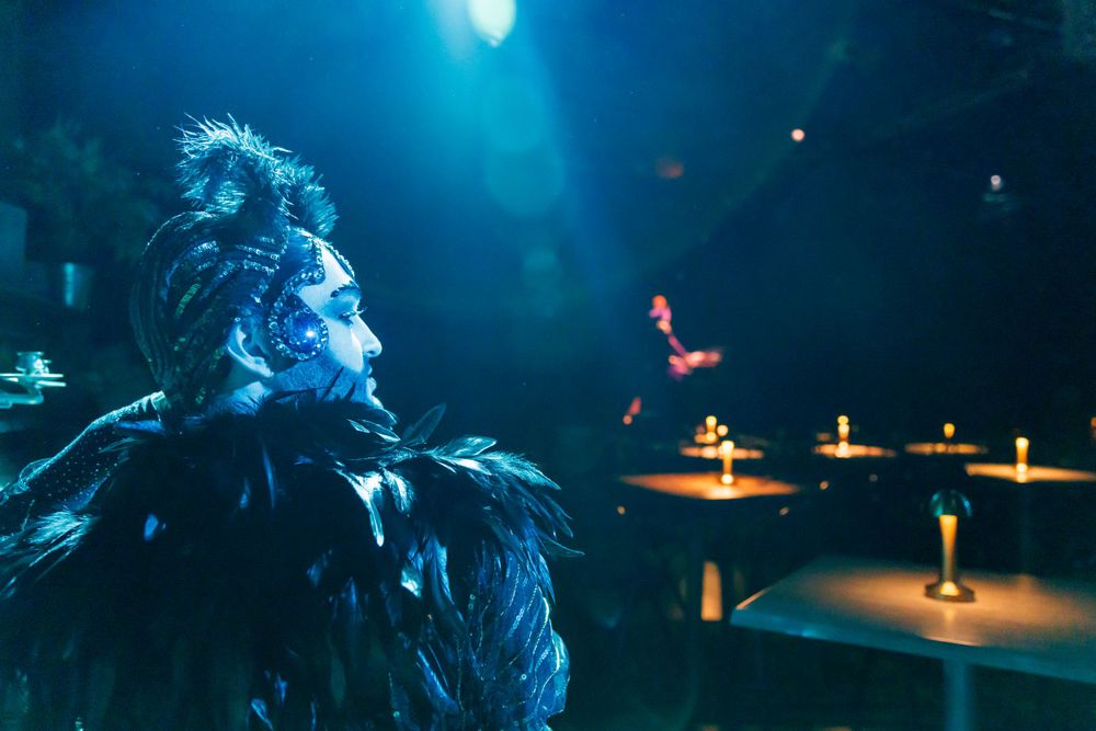 Dramatic stage performance with feathered costume silhouetted against blue theatrical lighting.