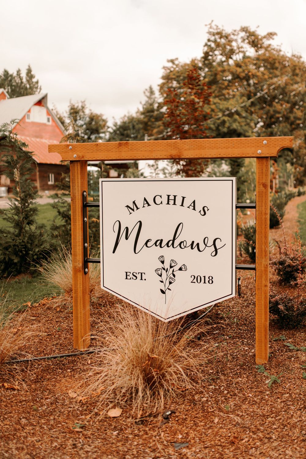 Machias Meadows Wedding