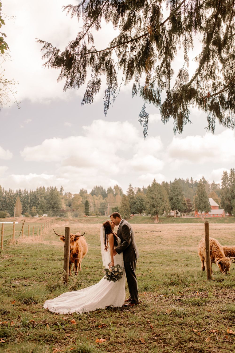 Machias Meadows Wedding