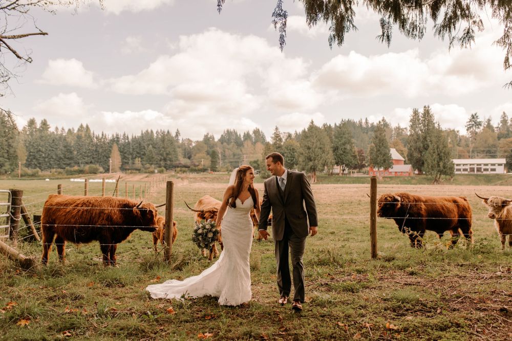 Machias Meadows Wedding