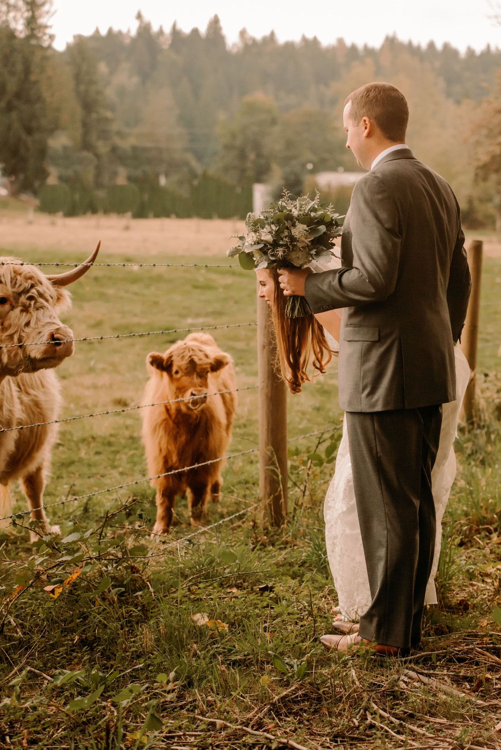 Machias Meadows Wedding