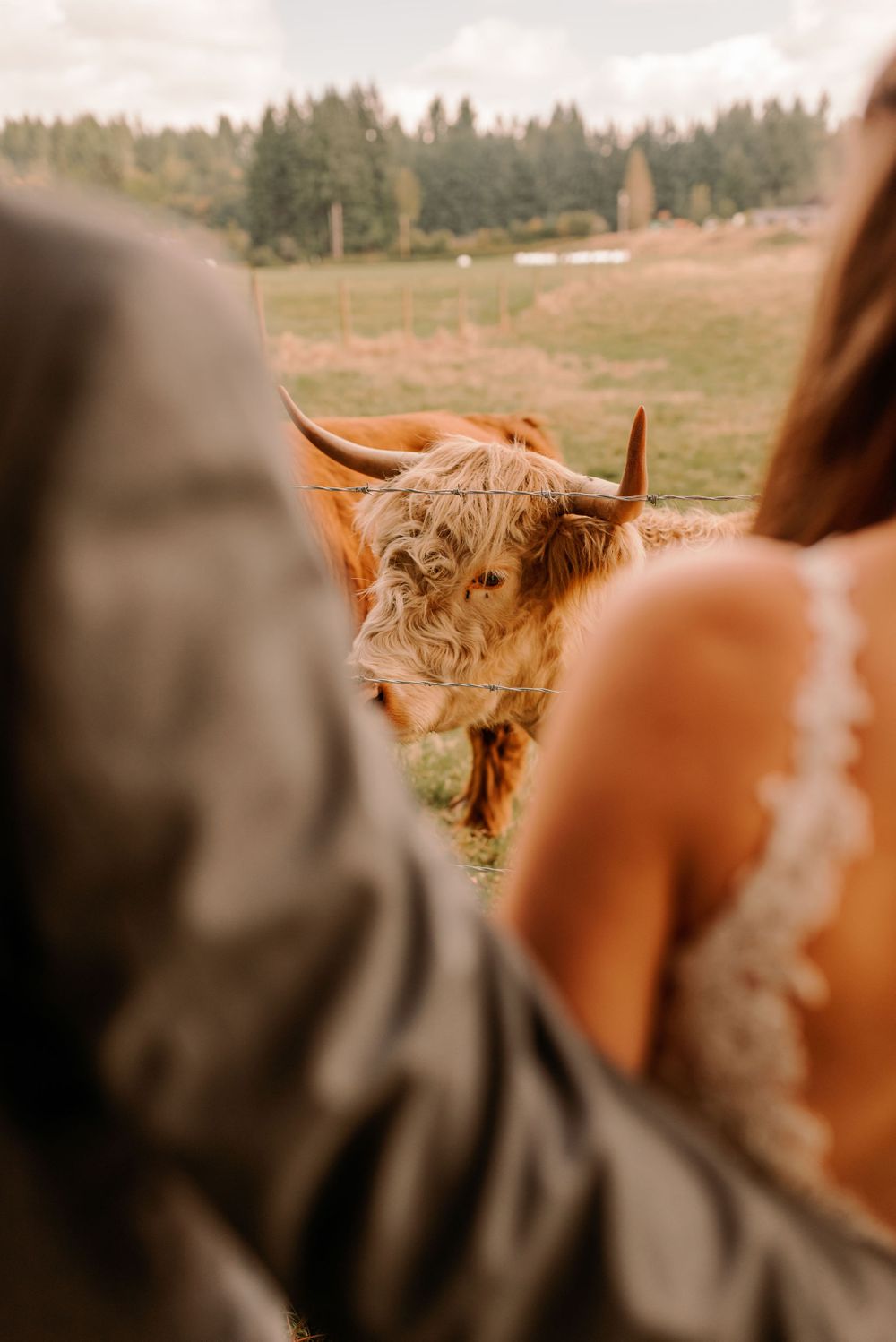 Machias Meadows Wedding