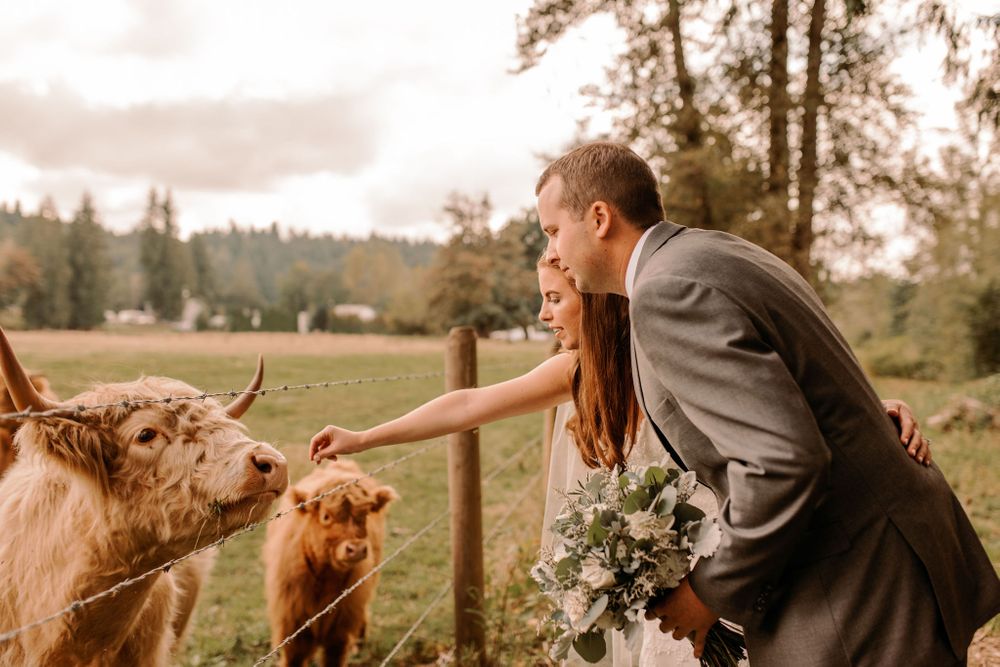 Machias Meadows Wedding