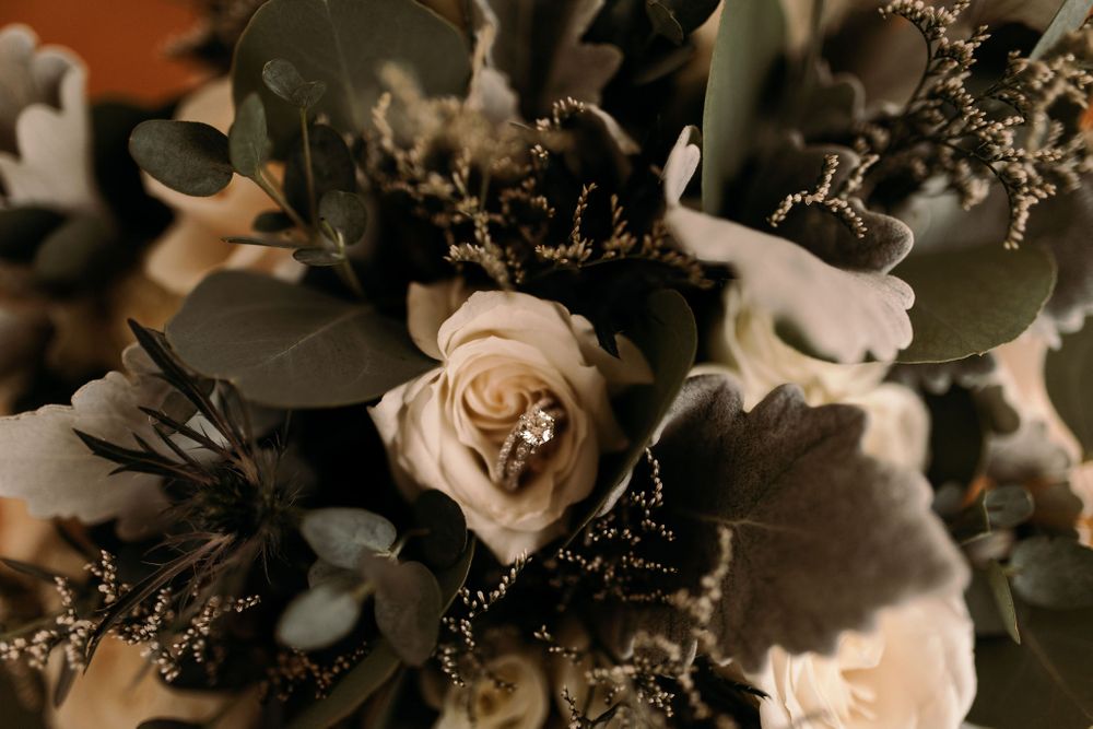 Machias Meadows Wedding