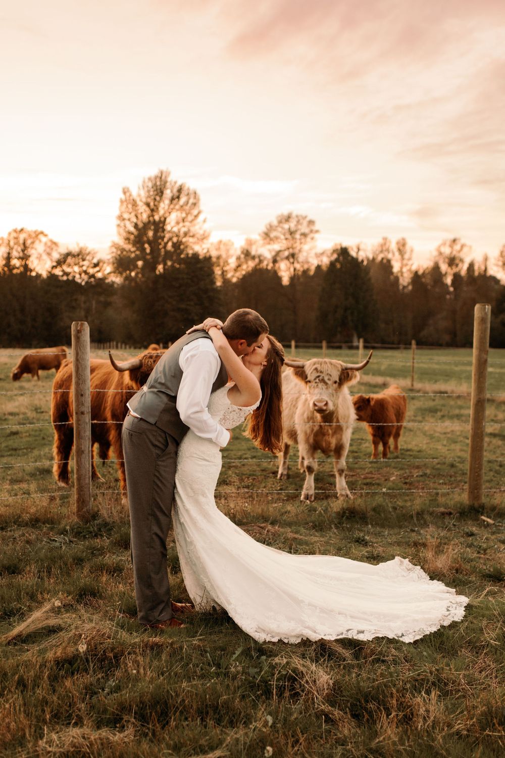 Machias Meadows Wedding