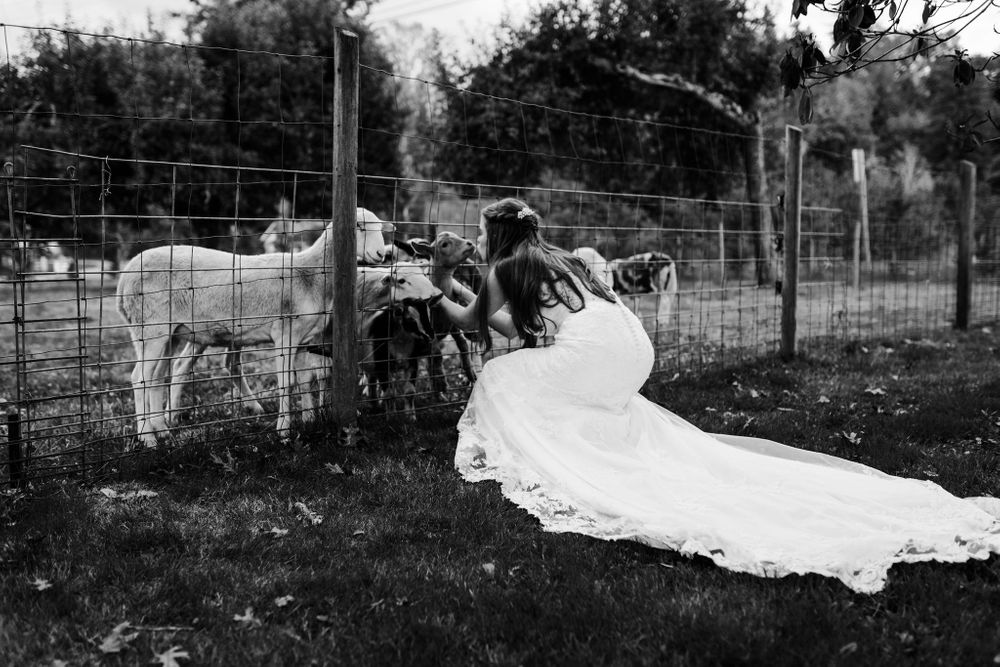 Machias Meadows Wedding