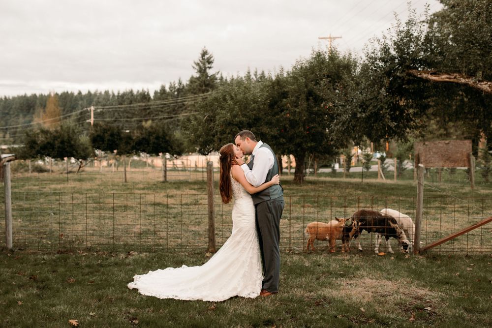 Machias Meadows Wedding