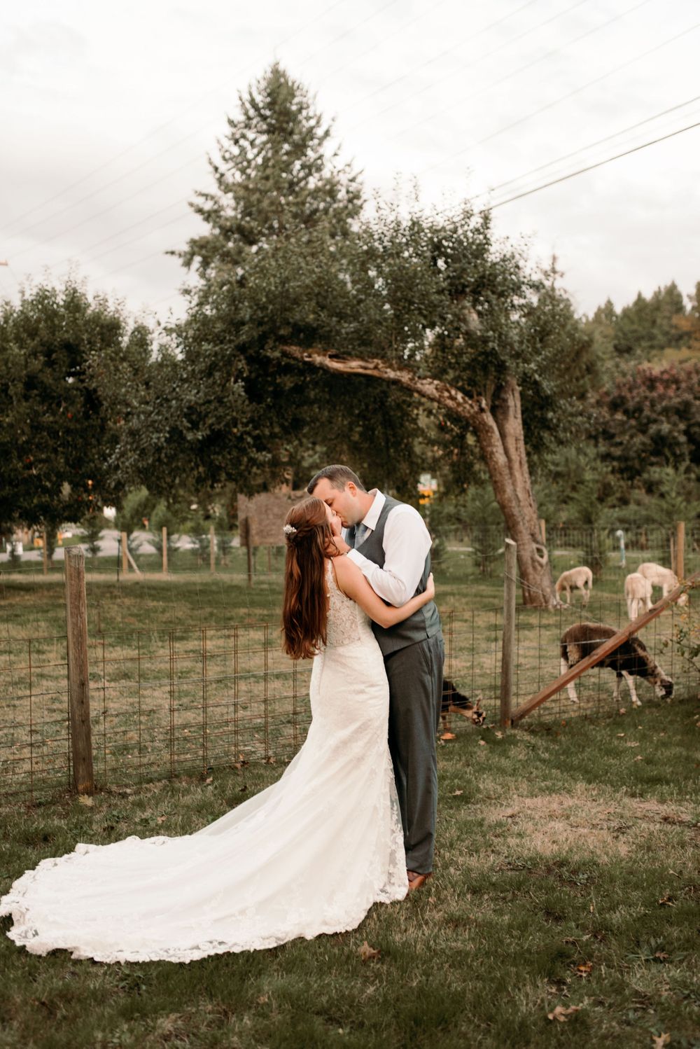 Machias Meadows Wedding