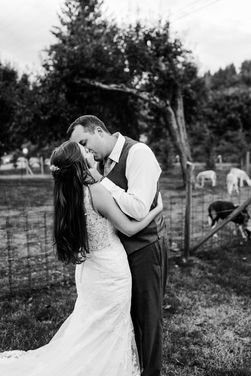 Machias Meadows Wedding