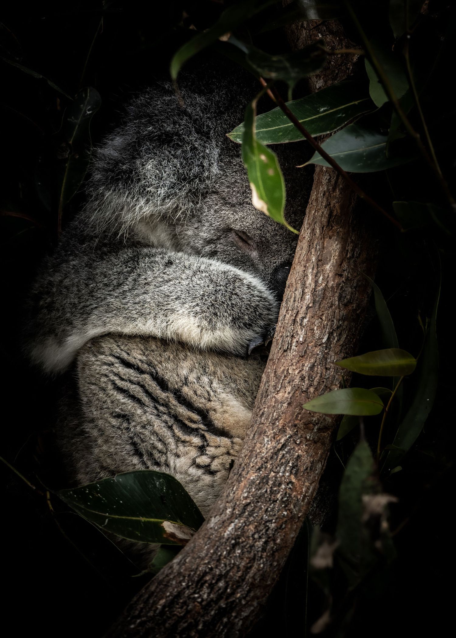John Peters Photography