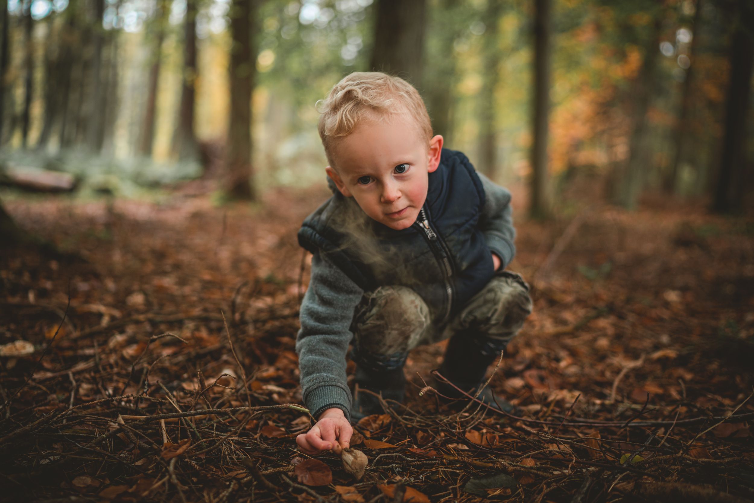 Foraging & Natural Education - The Grizzly Forager: The Definitive ...