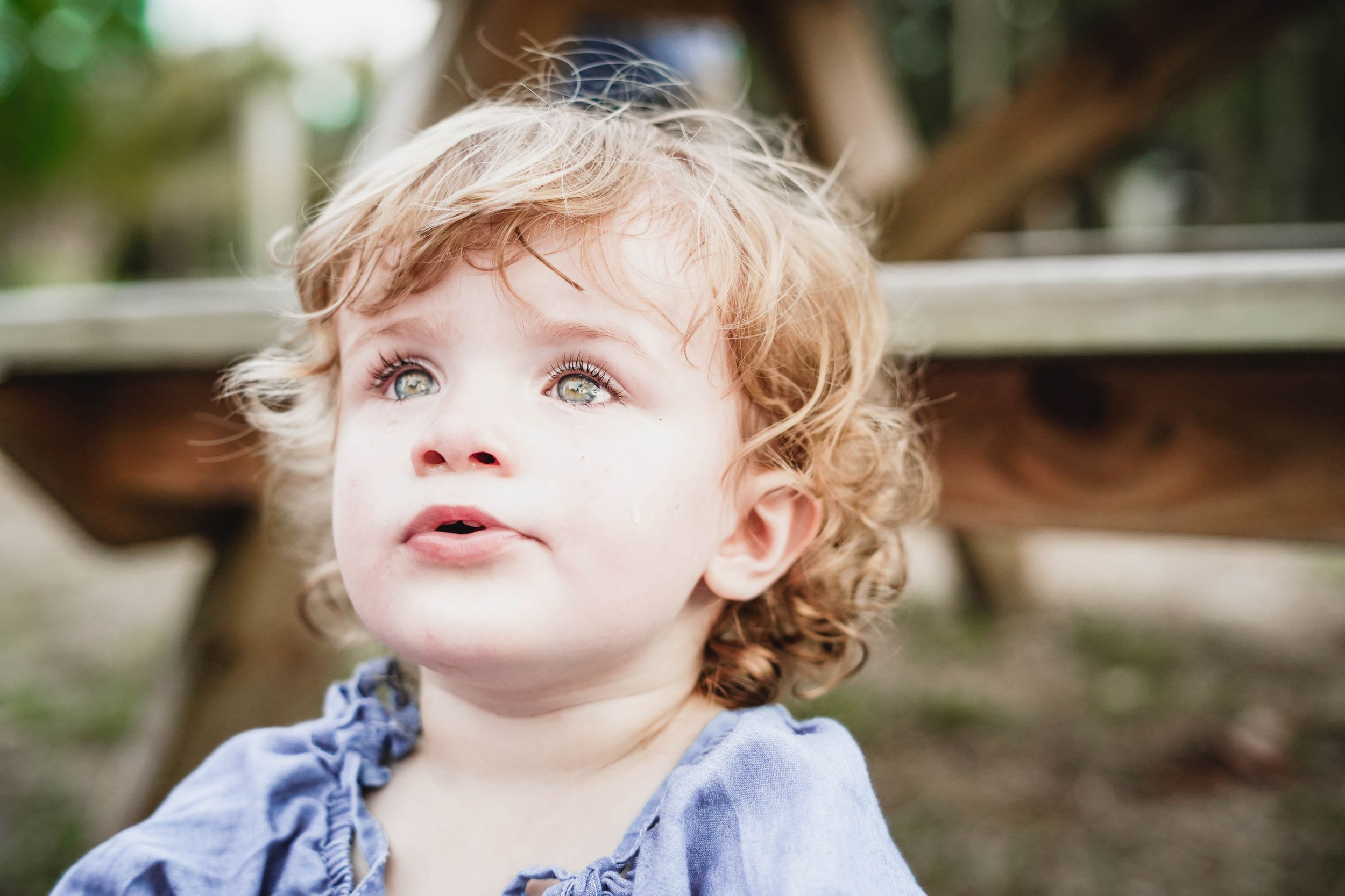 Lindsey Smith Photography And Art