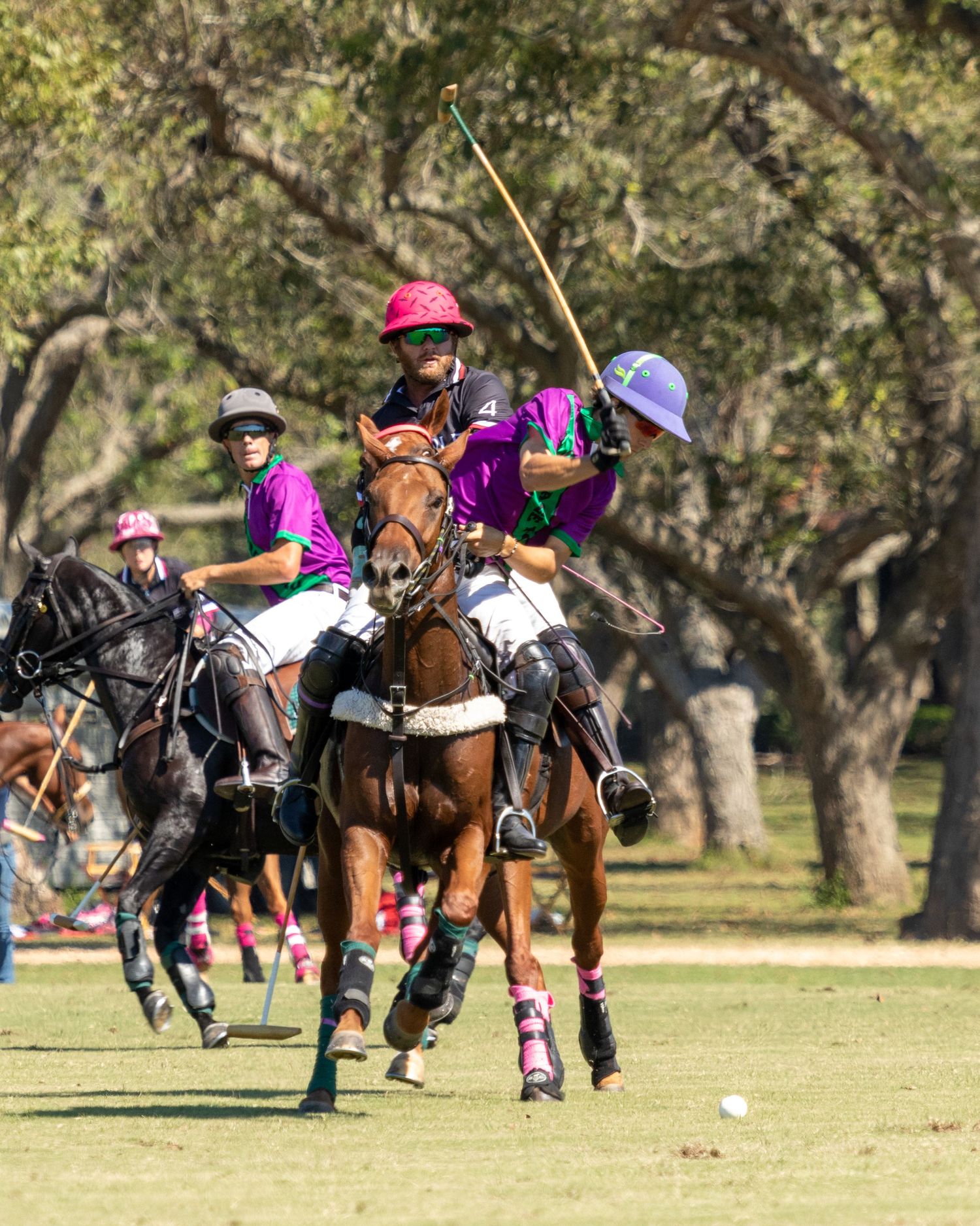 Polo