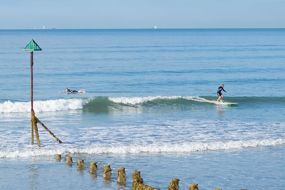 Surfer riding ocean wave past wooden groyne posts with seabirds.
