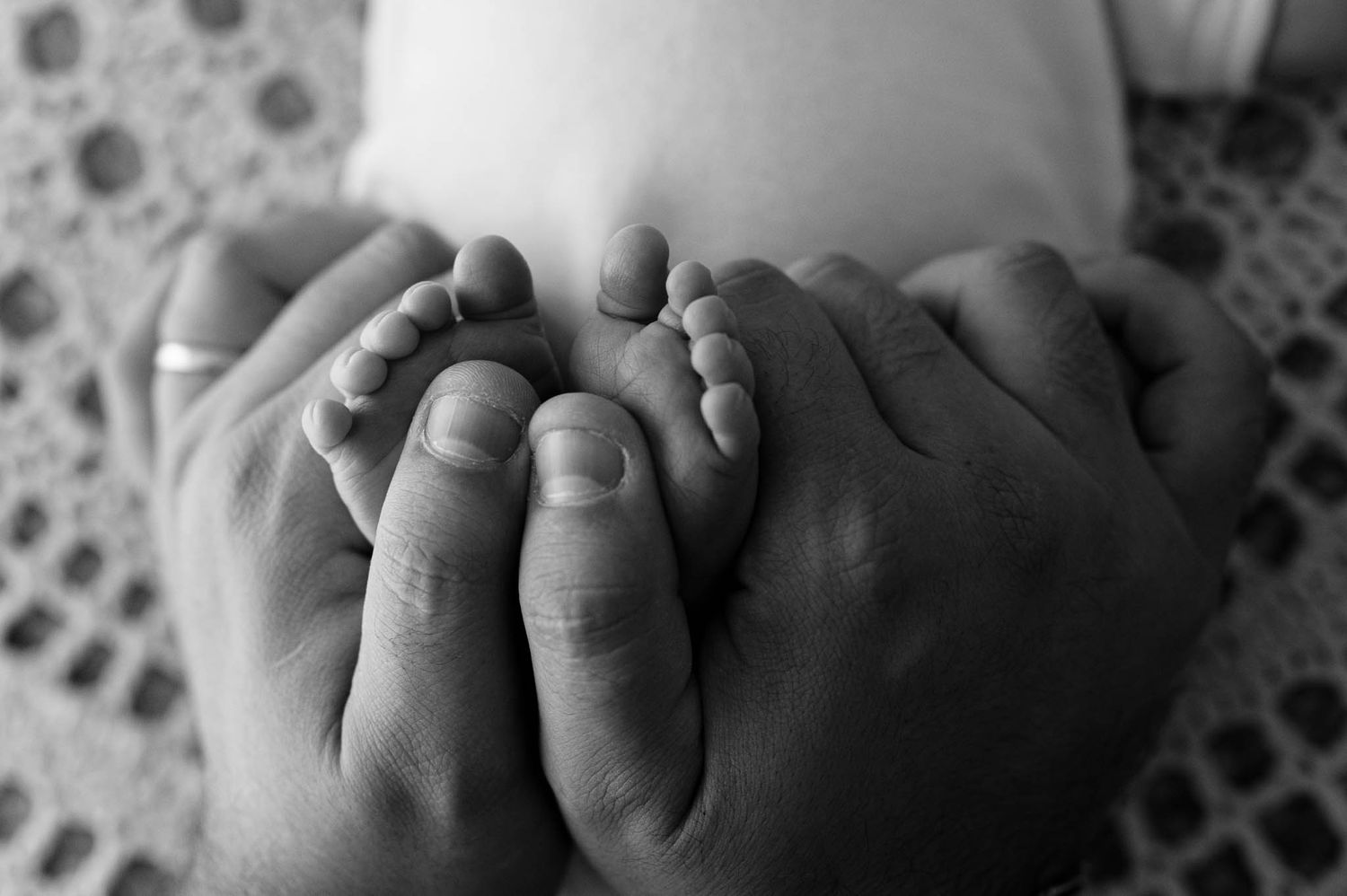 Black and white close-up of tiny baby feet being held in adult hands.