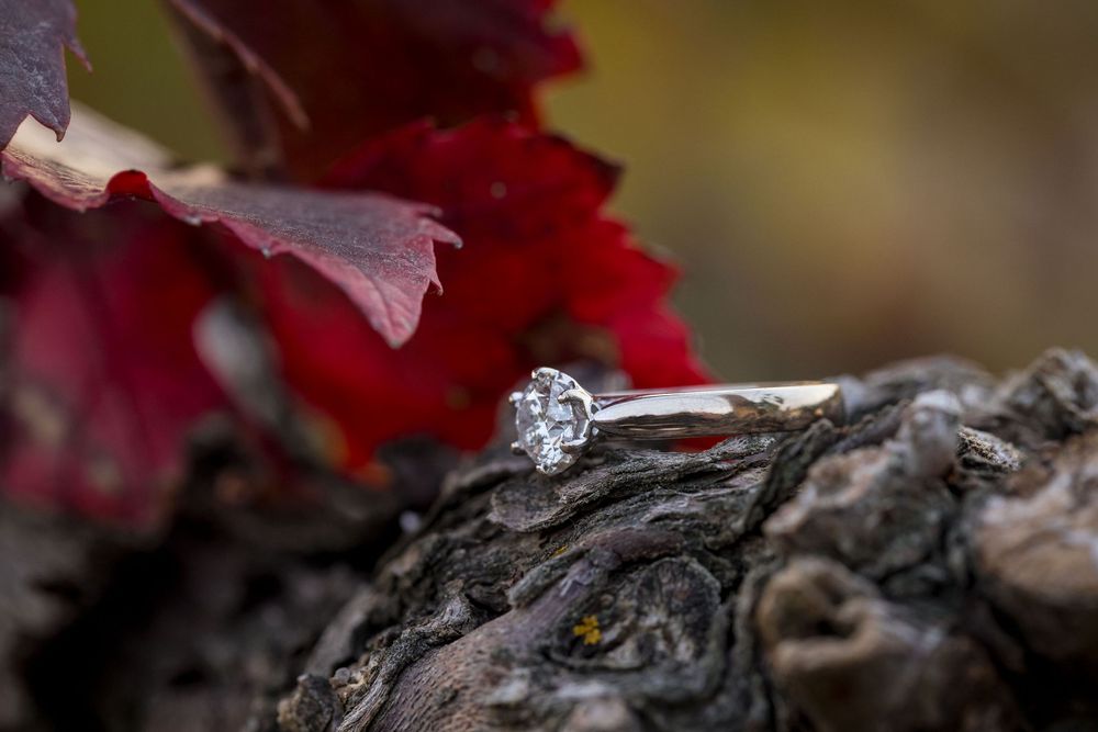 St Leonards Winery, Rutherglen Wedding Photographer, Albury Wedding Photographer, St.Leonards, Engagement Photography