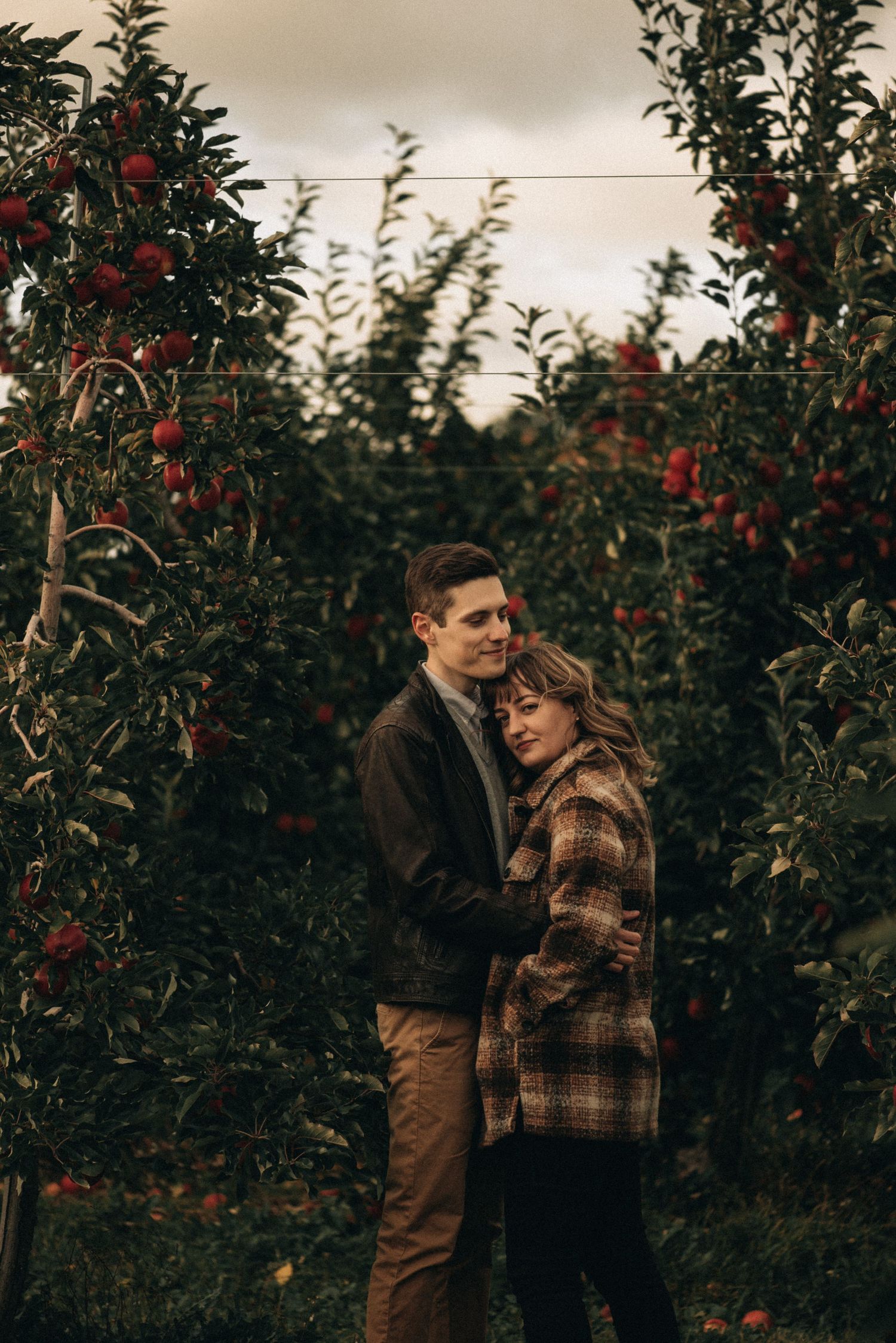 Couple embraces among apple trees in an autumn orchard at sunset.