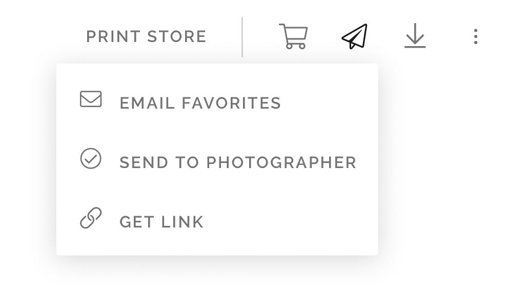 A white dropdown menu showing options for email favorites, send to photographer, and get link buttons.