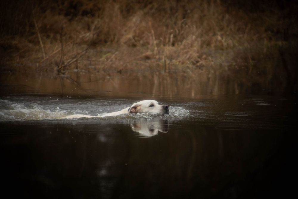 Portraits sunset, moody, hunting, outfitter photography