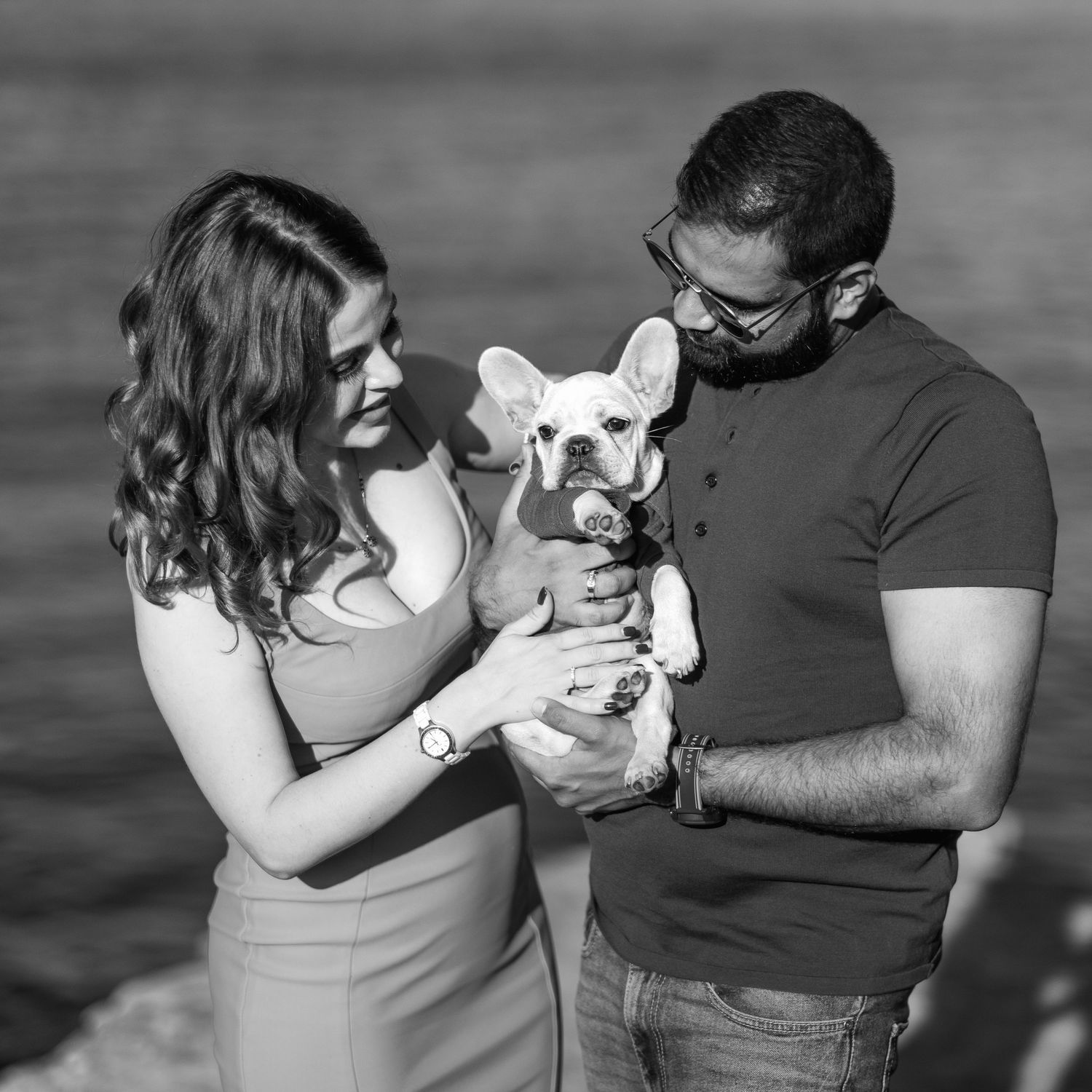 sydney couple with their new pupppy