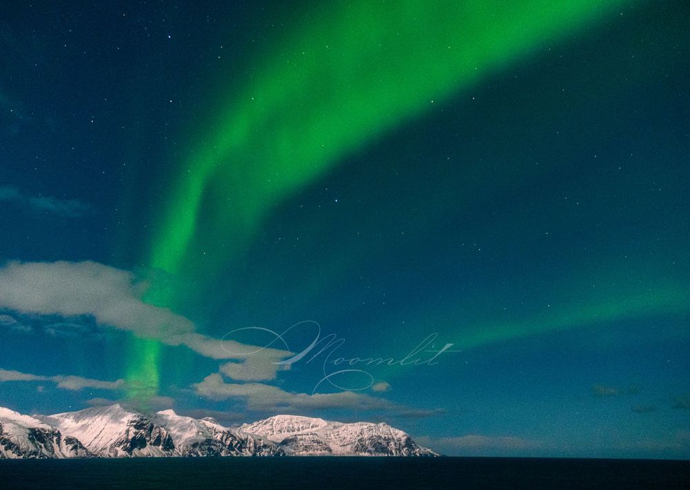 Aurora