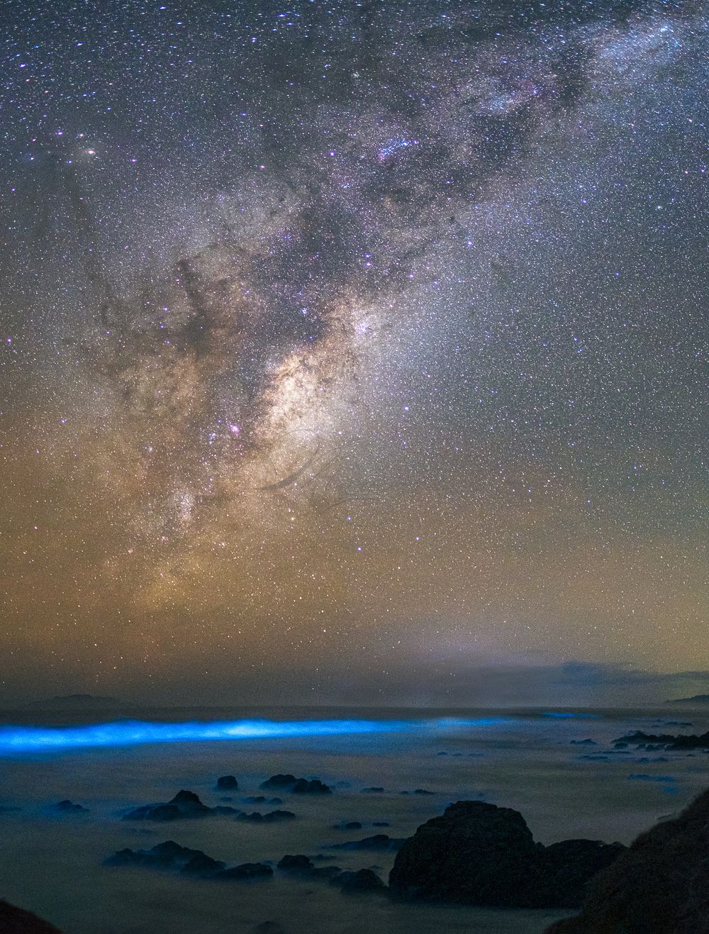 Milky Way Bioluminescence