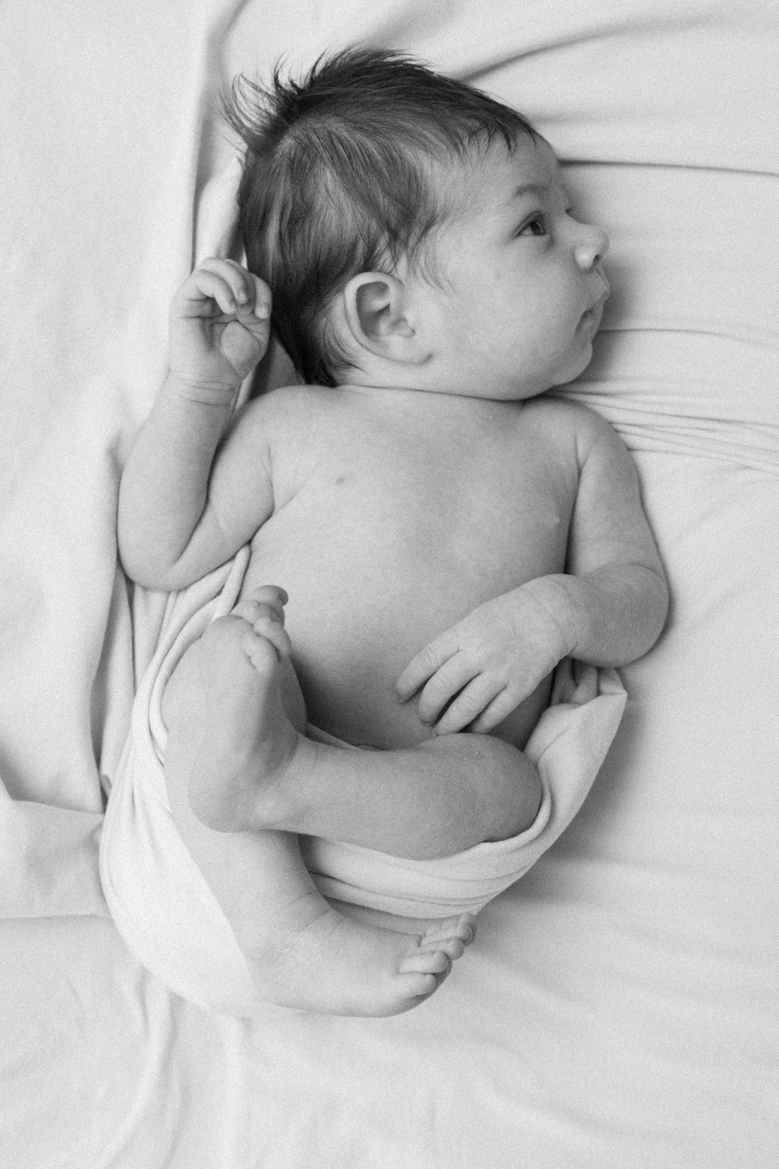 Baby newborn portrait photographer, event photographer