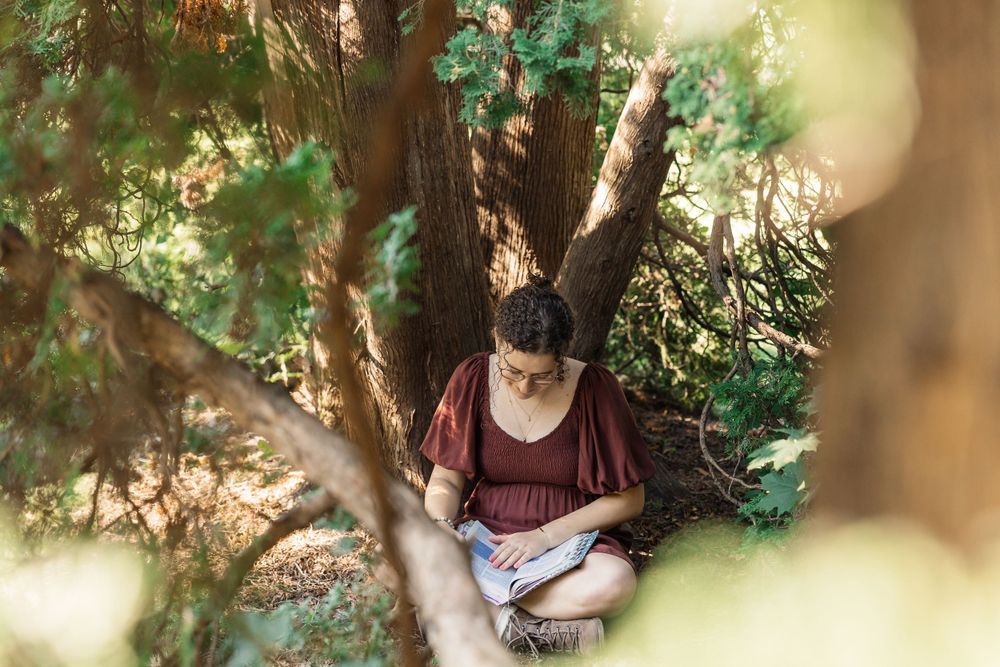 Person reading in a peaceful garden setting through tree branches.