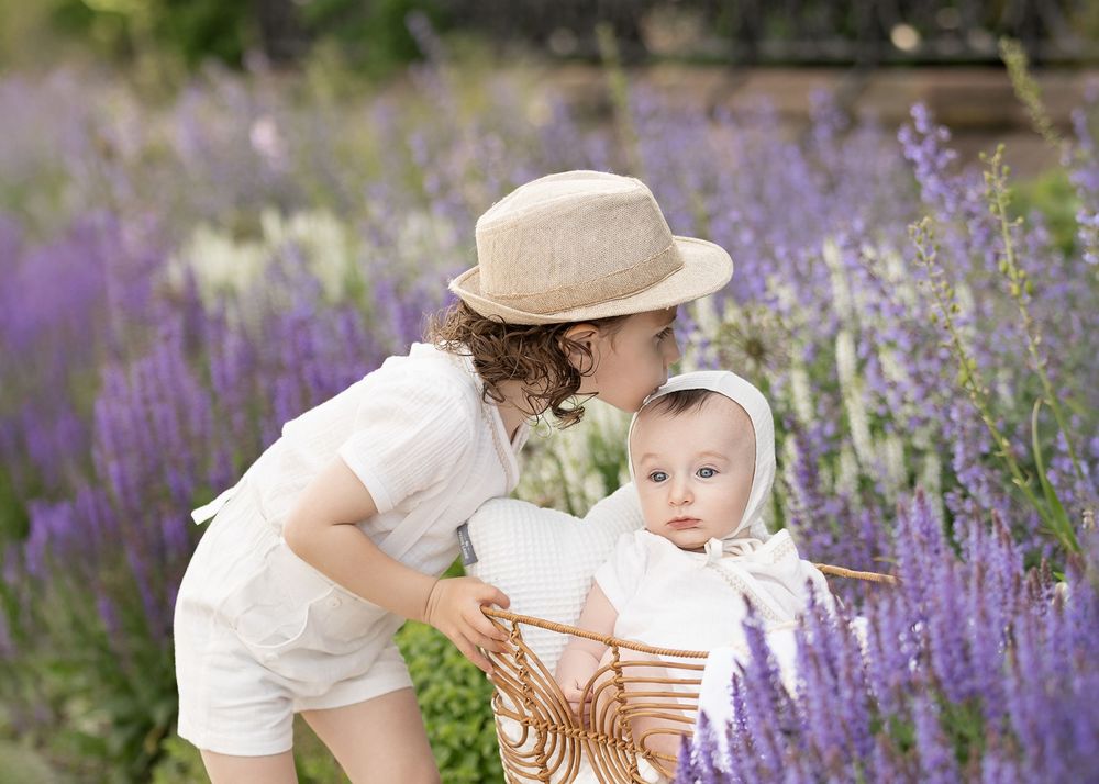 A montage of seven photos showing someone exploring a beautiful garden path lined with vibrant purple lavender flowers.