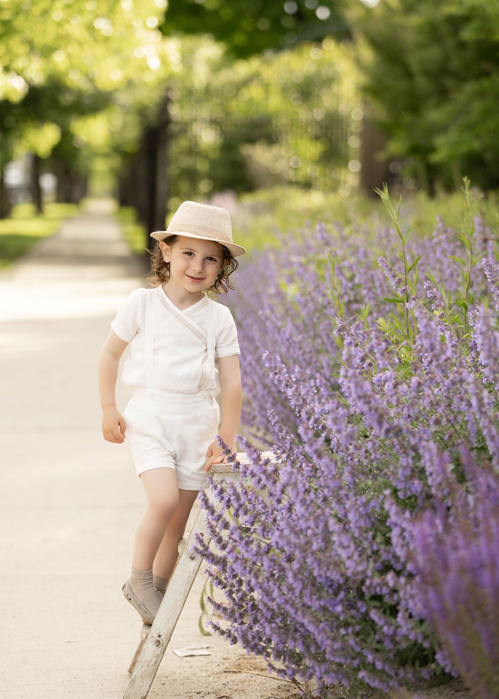 A path bordered by blooming lavender plants with someone wearing a white shirt and hat exploring the garden scene.