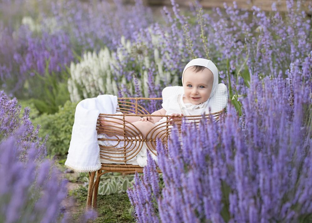 Baby in white bonnet reclines in vintage basket surrounded by blooming lavender flowers.