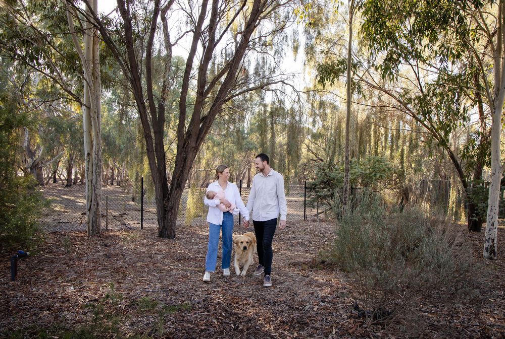 Couples pose together in a sunlit wooded outdoor setting during a nature-themed engagement photoshoot.