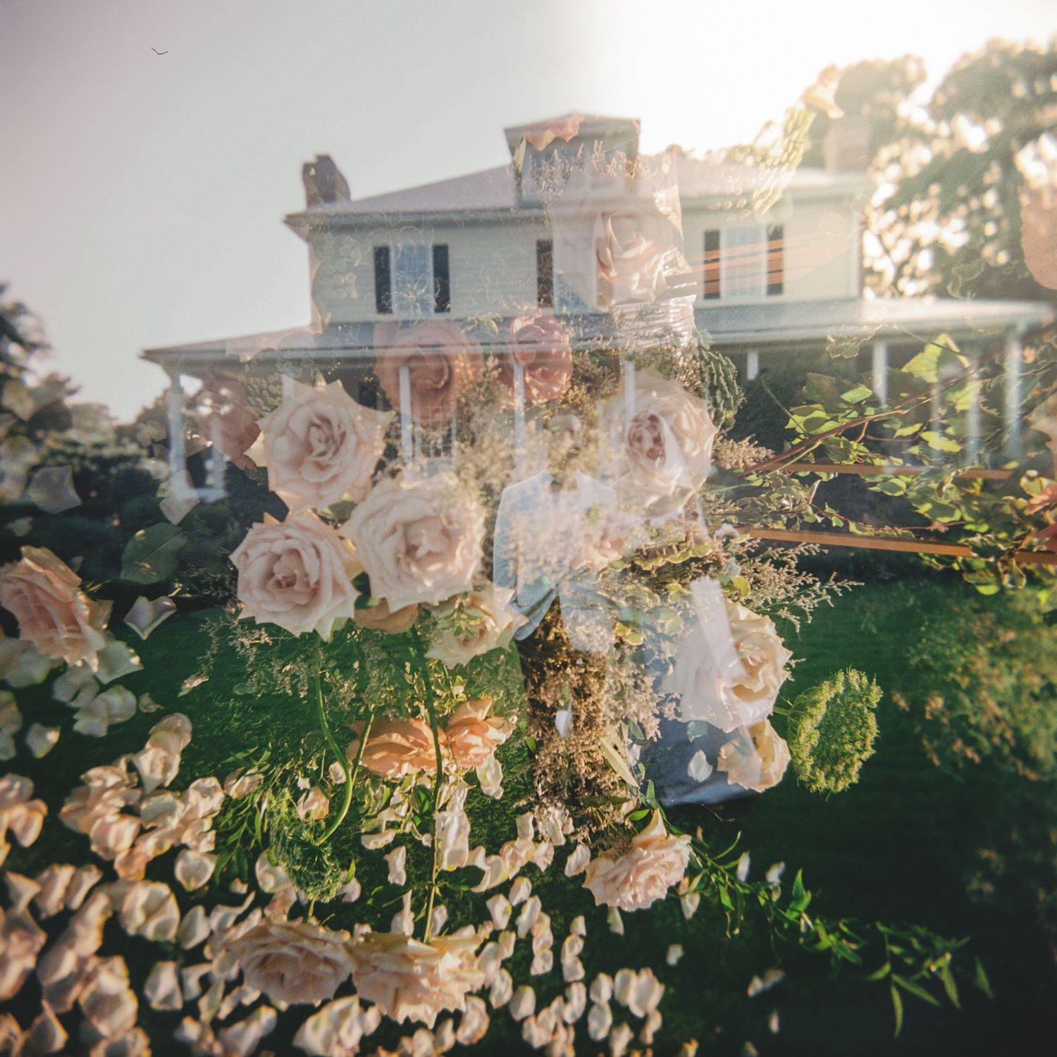 Double exposure of blush roses and a white colonial wedding venue surrounded by lush greenery.