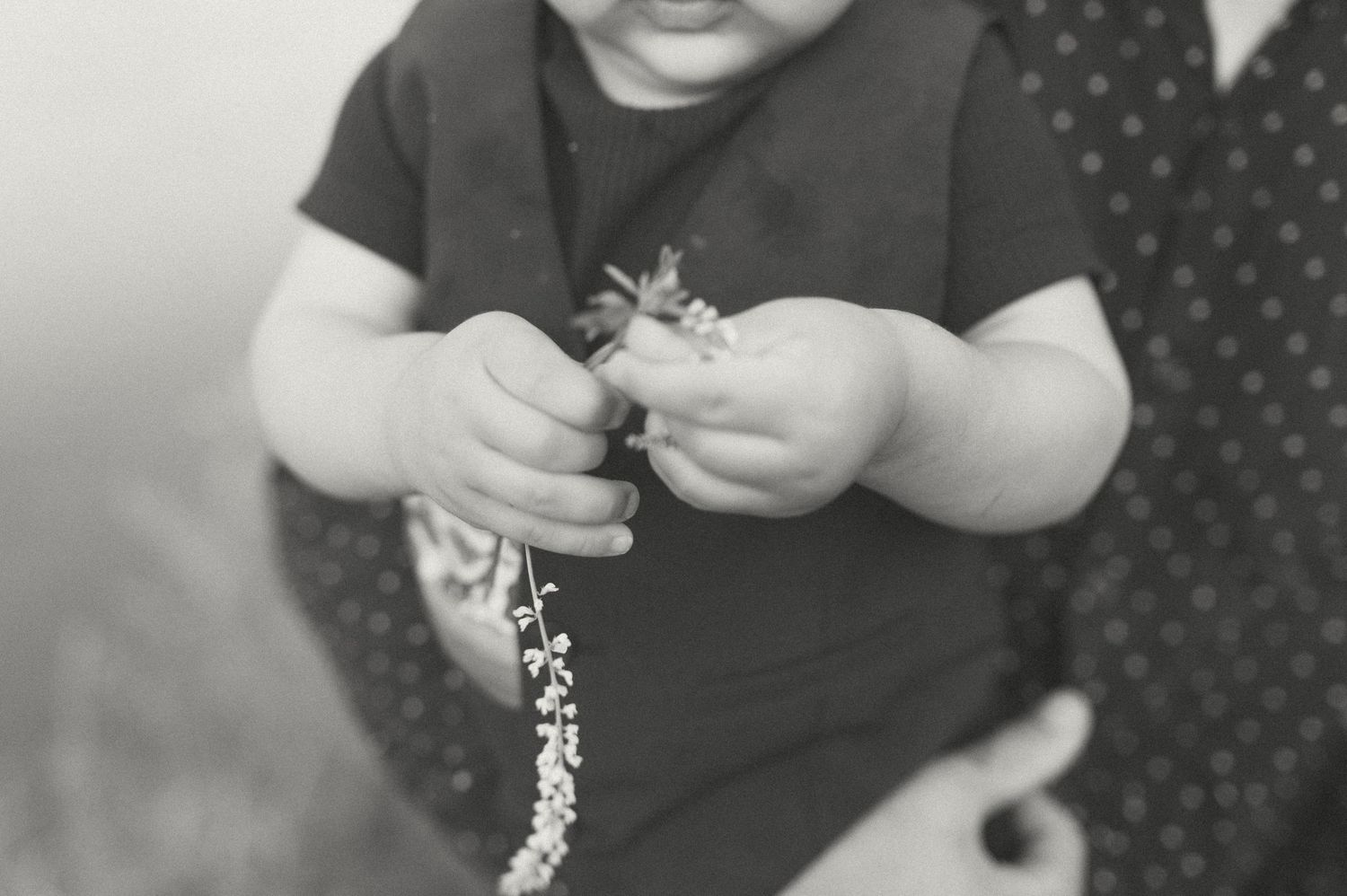 Close-up black and white photo of small hands examining a flower stem.