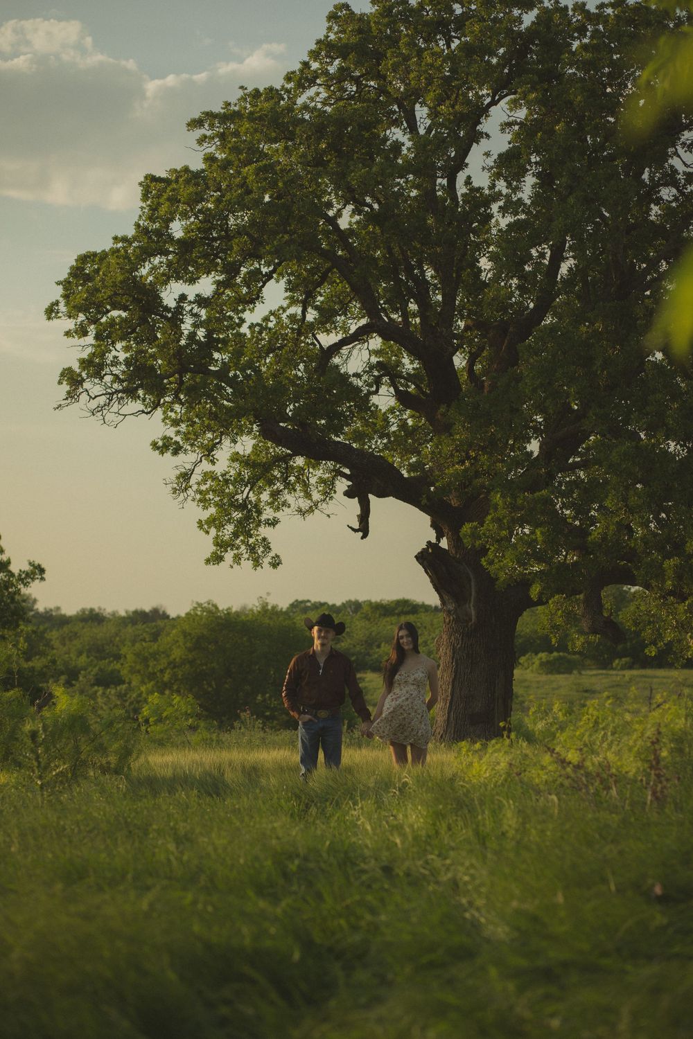 Couple holds hands while standing in a sunlit green field beside a large oak tree.