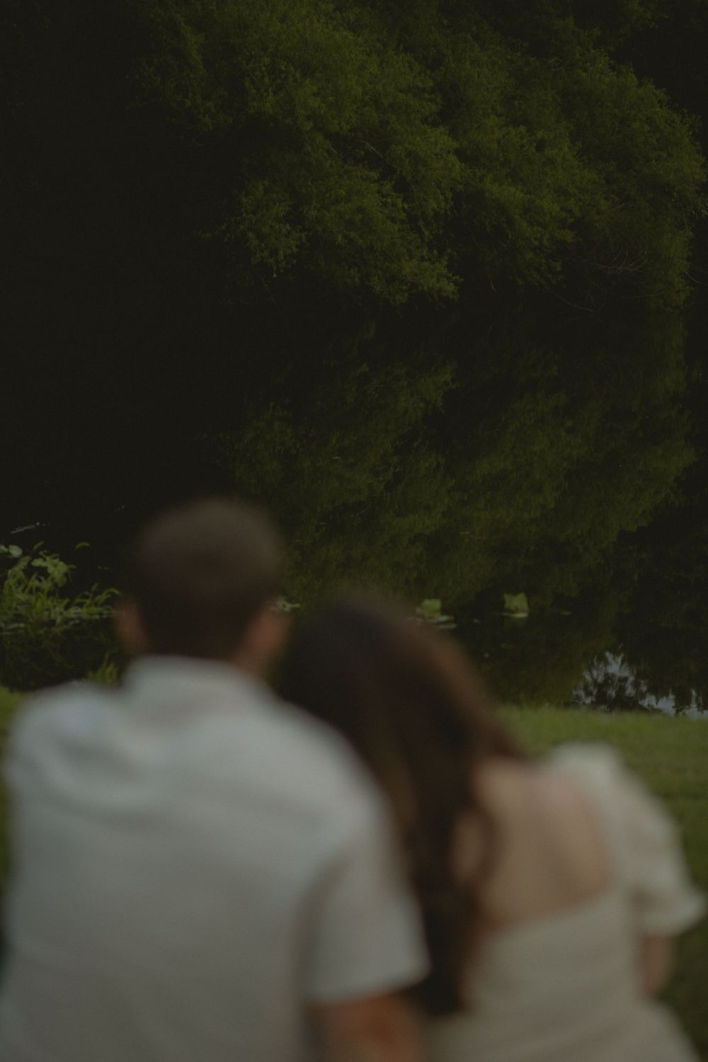 Blurred romantic couple embracing outdoors with lush dark green trees in the background.